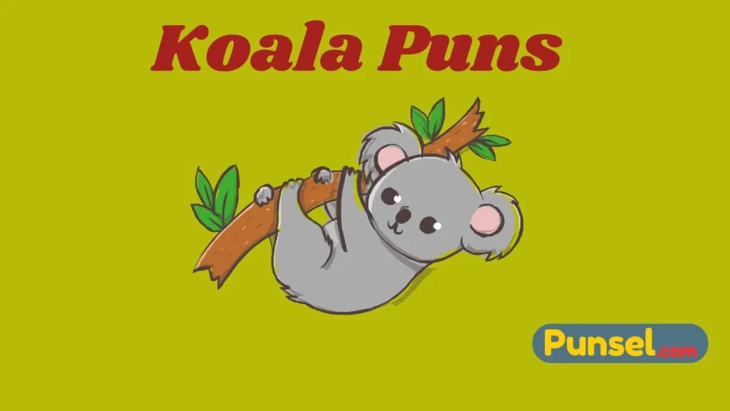 Koala Puns