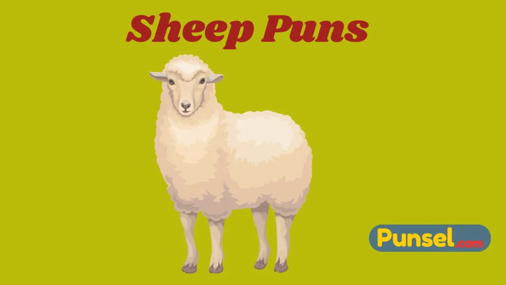 Sheep Puns
