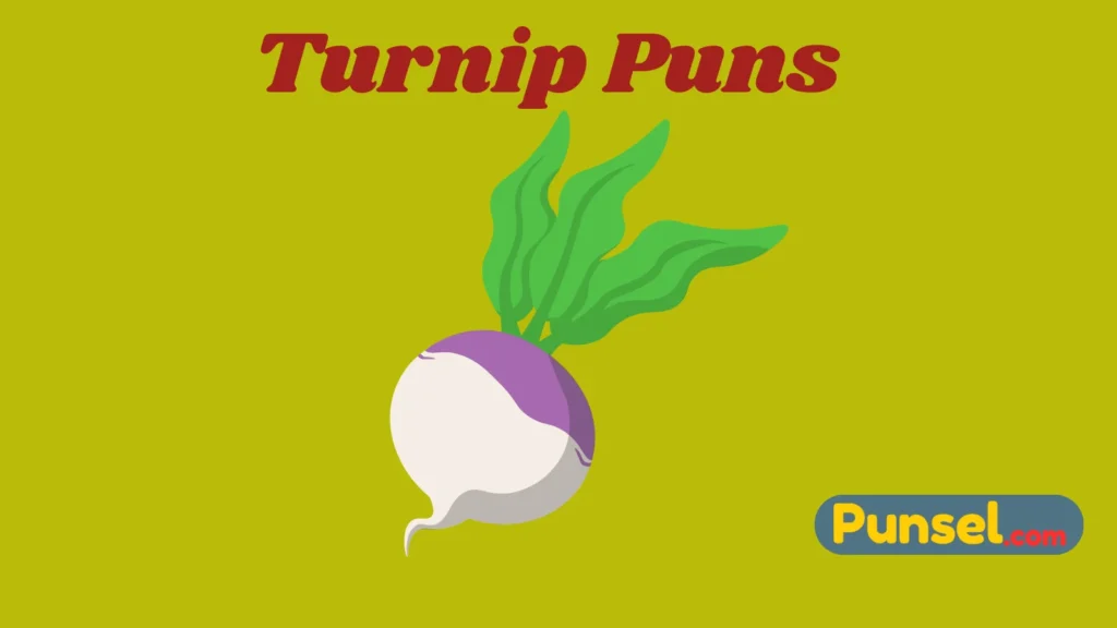 Turnip Puns