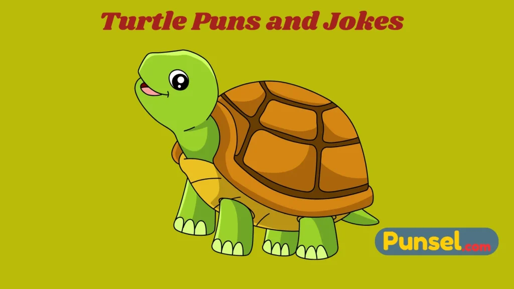 Turtle Puns and Jokes